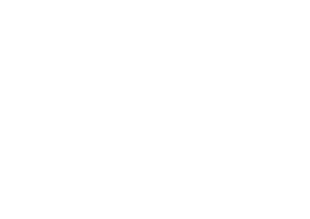Nzret Logo